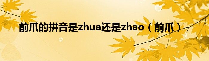 前爪的拼音是zhua还是zhao（前爪）