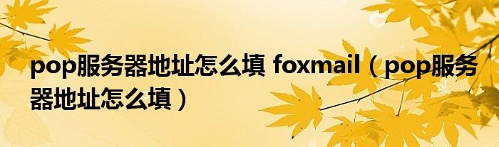 pop服务器地址怎么填 foxmail（pop服务器地址怎么填）