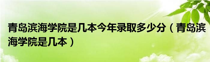 青岛滨海学院是几本今年录取多少分（青岛滨海学院是几本）