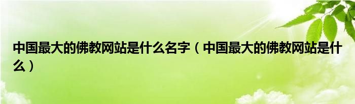 中国最大的佛教网站是什么名字（中国最大的佛教网站是什么）