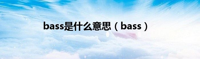 bass是什么意思（bass）