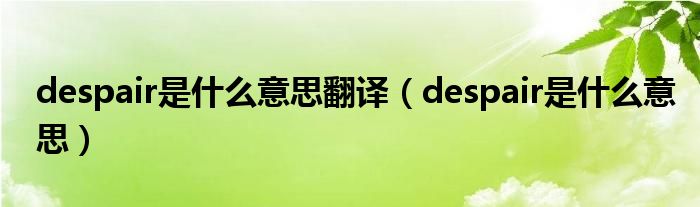 despair是什么意思翻译（despair是什么意思）