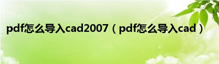 pdf怎么导入cad2007（pdf怎么导入cad）