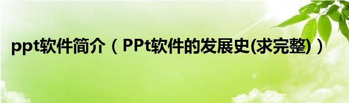 ppt软件简介（PPt软件的发展史(求完整)）