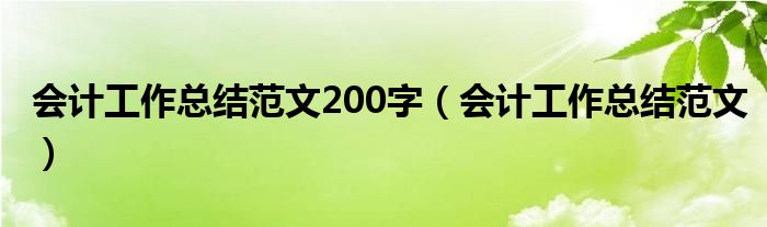 会计工作总结范文200字（会计工作总结范文）