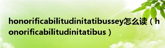 honorificabilitudinitatibussey怎么读（honorificabilitudinitatibus）