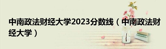 中南政法财经大学2023分数线（中南政法财经大学）