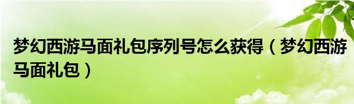 梦幻西游马面礼包序列号怎么获得（梦幻西游马面礼包）