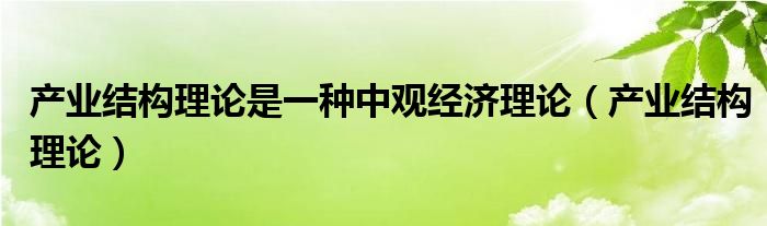 产业结构理论是一种中观经济理论（产业结构理论）