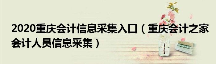 2020重庆会计信息采集入口（重庆会计之家会计人员信息采集）