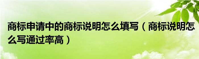 商标申请中的商标说明怎么填写（商标说明怎么写通过率高）