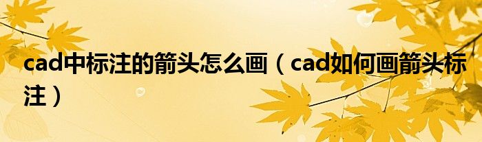 cad中标注的箭头怎么画（cad如何画箭头标注）