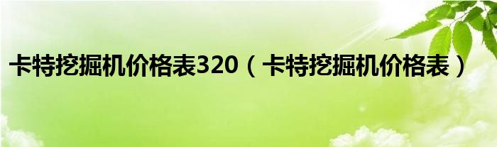 卡特挖掘机价格表320（卡特挖掘机价格表）