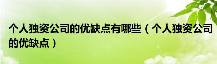 个人独资公司的优缺点有哪些（个人独资公司的优缺点）