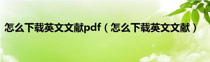 怎么下载英文文献pdf（怎么下载英文文献）