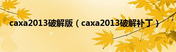 caxa2013破解版（caxa2013破解补丁）