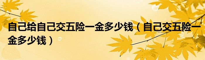 自己给自己交五险一金多少钱（自己交五险一金多少钱）