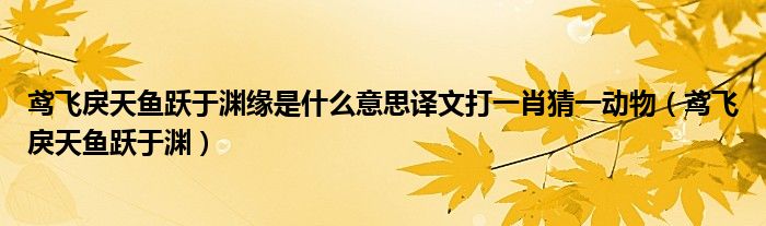 鸢飞戾天鱼跃于渊缘是什么意思译文打一肖猜一动物（鸢飞戾天鱼跃于渊）