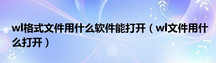 wl格式文件用什么软件能打开（wl文件用什么打开）