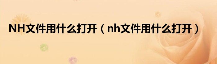 NH文件用什么打开（nh文件用什么打开）