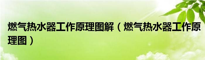 燃气热水器工作原理图解（燃气热水器工作原理图）