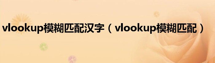 vlookup模糊匹配汉字（vlookup模糊匹配）