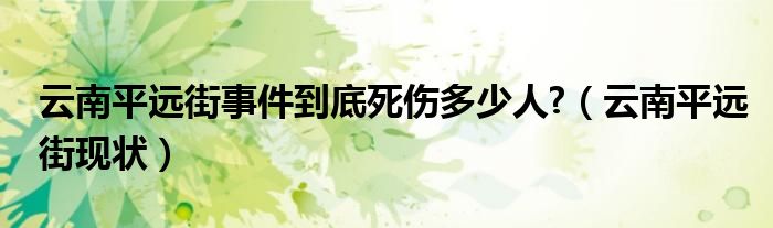 云南平远街事件到底死伤多少人?（云南平远街现状）