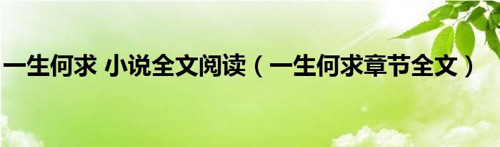 一生何求 小说全文阅读（一生何求章节全文）