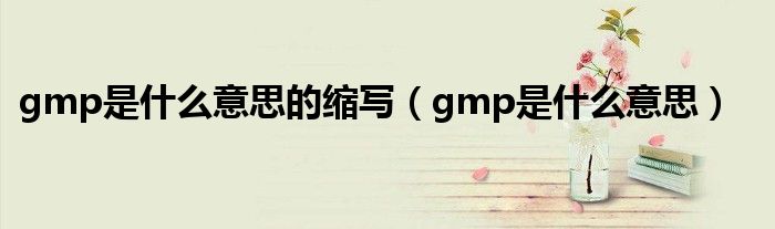 gmp是什么意思的缩写（gmp是什么意思）