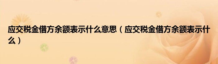 应交税金借方余额表示什么意思（应交税金借方余额表示什么）