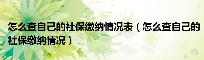 怎么查自己的社保缴纳情况表（怎么查自己的社保缴纳情况）