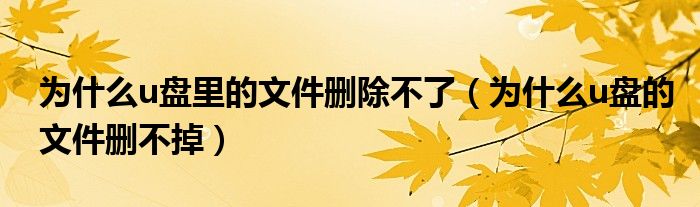 为什么u盘里的文件删除不了（为什么u盘的文件删不掉）