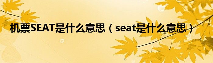 机票SEAT是什么意思（seat是什么意思）