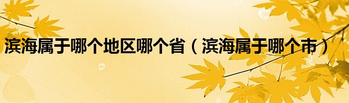 滨海属于哪个地区哪个省（滨海属于哪个市）