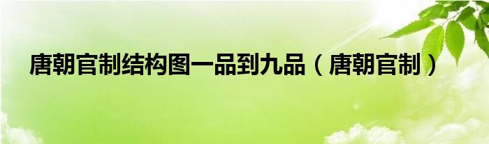 唐朝官制结构图一品到九品（唐朝官制）