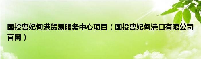 国投曹妃甸港贸易服务中心项目（国投曹妃甸港口有限公司官网）