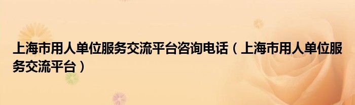 上海市用人单位服务交流平台咨询电话（上海市用人单位服务交流平台）