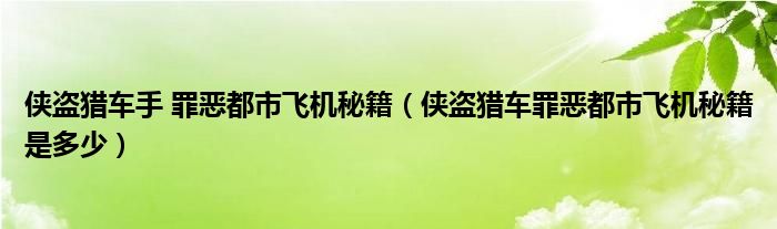 侠盗猎车手 罪恶都市飞机秘籍（侠盗猎车罪恶都市飞机秘籍是多少）