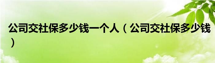 公司交社保多少钱一个人（公司交社保多少钱）