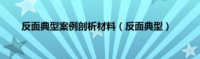 反面典型案例剖析材料（反面典型）