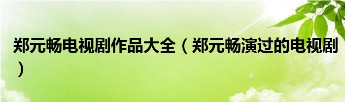 郑元畅电视剧作品大全（郑元畅演过的电视剧）