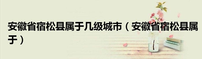 安徽省宿松县属于几级城市（安徽省宿松县属于）