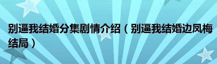 别逼我结婚分集剧情介绍（别逼我结婚边凤梅结局）