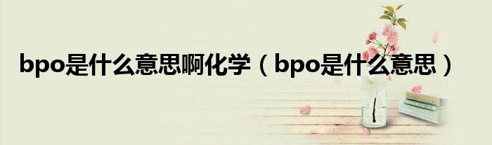 bpo是什么意思啊化学（bpo是什么意思）