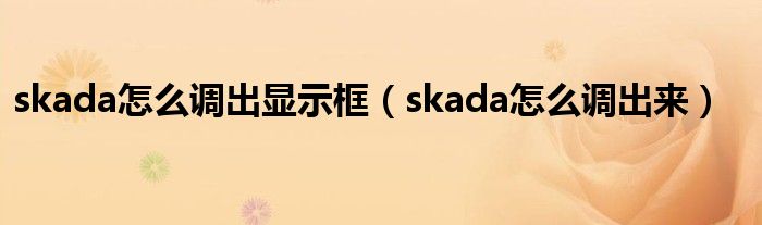 skada怎么调出显示框（skada怎么调出来）