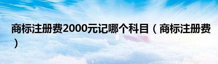 商标注册费2000元记哪个科目（商标注册费）