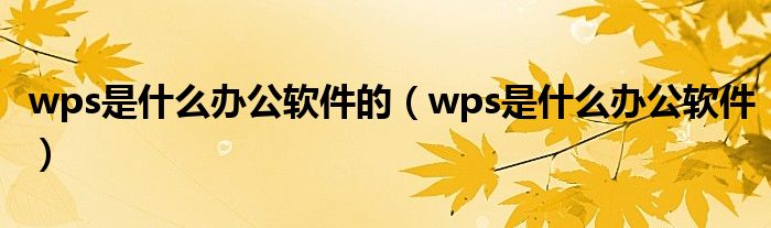 wps是什么办公软件的（wps是什么办公软件）