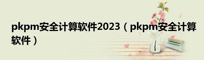 pkpm安全计算软件2023（pkpm安全计算软件）