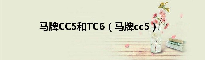 马牌CC5和TC6（马牌cc5）