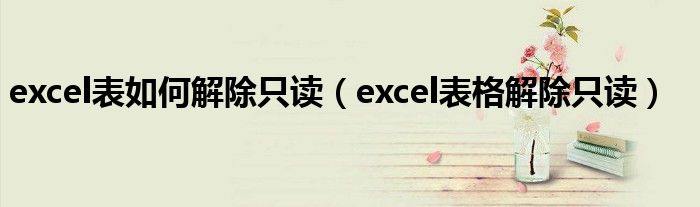 excel表如何解除只读（excel表格解除只读）